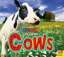 Cows cover