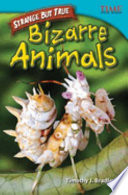 Bizarre Animals cover