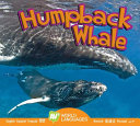 I Am a Humpback Whale/Humpback Whale cover