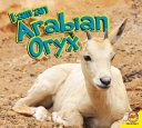 I Am an Arabian Oryx cover