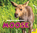 Moose cover