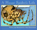 A House Spider's Life cover