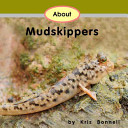 About Mudskippers cover