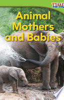 Animal Mothers and Babies cover