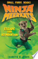 Escape from Ice Mountain cover