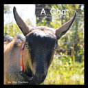 A Goat cover