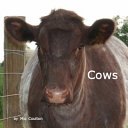 Cows cover