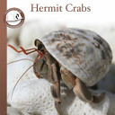 Hermit Crabs cover