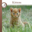 Kittens cover