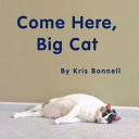 Come Here, Big Cat cover