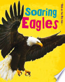 Soaring Eagles cover