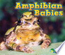 Amphibian Babies cover