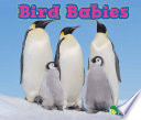 Bird Babies cover