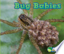 Bug Babies cover