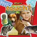 What Is Touch? cover