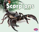 Scorpions cover