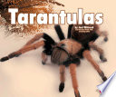 Tarantulas cover