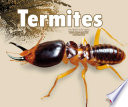 Termites cover