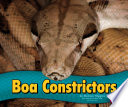 Boa Constrictors cover