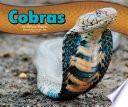 Cobras cover