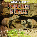 Prairie Dogs in Danger cover