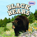 Black Bears cover