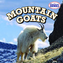 Mountain Goats cover