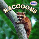 Raccoons cover