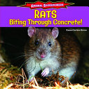 Rats: Biting Through Concrete! cover