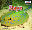 Rays cover