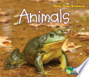 Animals (Real Size Science) cover