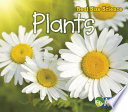 Plants cover