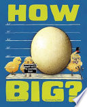 How Big? Wacky Ways to Compare Size cover