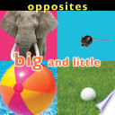 Opposites: Big and Little cover