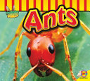 Ants cover