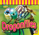 Dragonflies cover