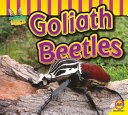 Goliath Beetles cover