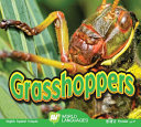 Grasshoppers cover
