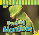 Praying Mantises cover