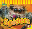 Spiders cover