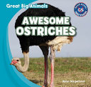 Awesome Ostriches cover