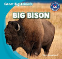 Big Bison cover