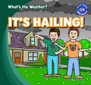 It's Hailing! cover