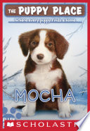 Mocha cover
