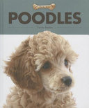 Poodles cover
