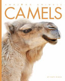 Camels (Amazing Animals) cover