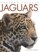 Jaguars cover