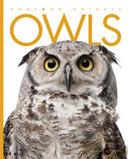 Owls (Amazing Animals, 2013 Edition) cover