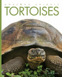 Tortoises (Amazing Animals, 2014 Edition) cover
