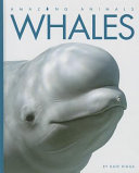 Whales (Amazing Animals, 2014 Edition) cover